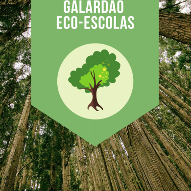 Candidatura ao Galardão Eco-Escolas