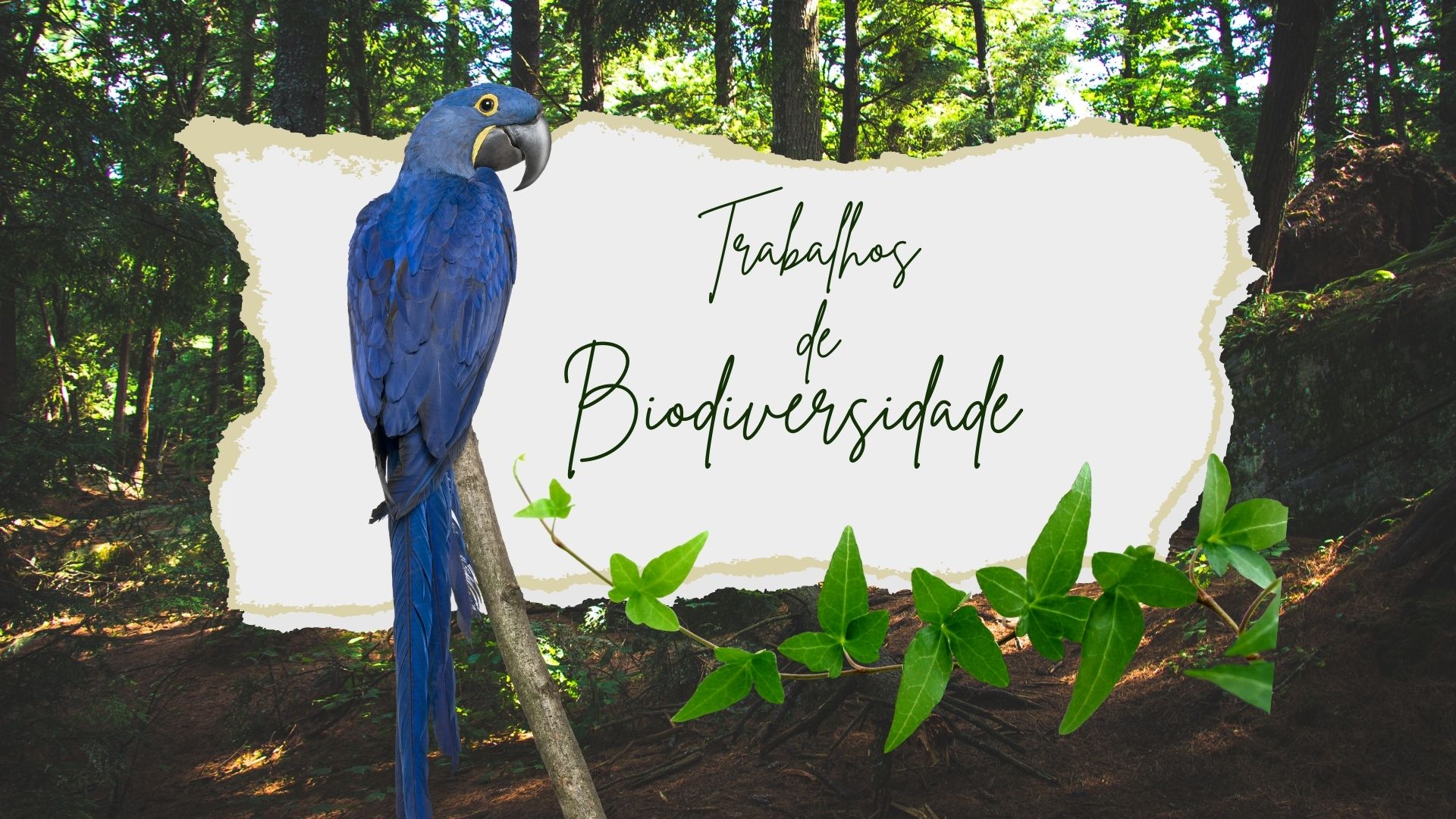 Biodiversidade em Portugal