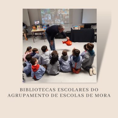 <strong><u>Bibliotecas Escolares do Agrupamento de Escolas de Mora</u></strong>