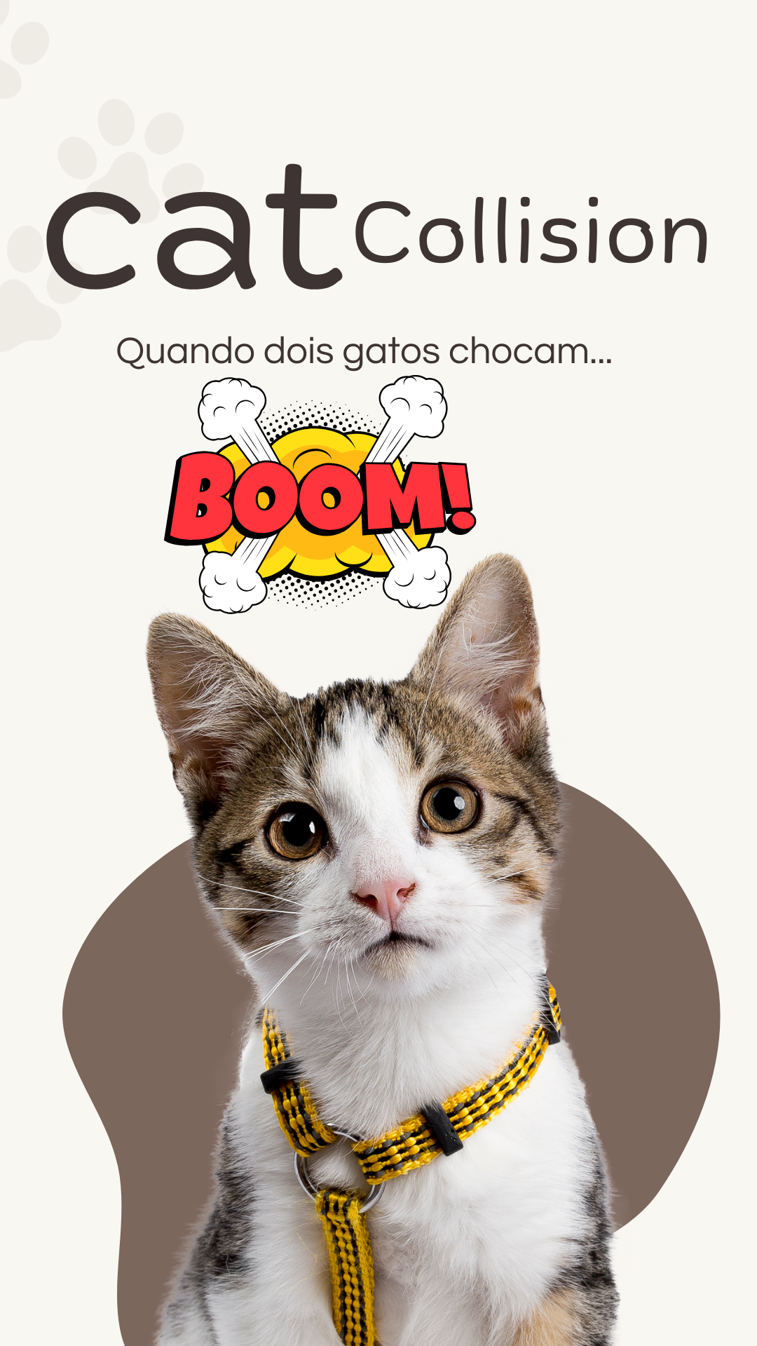 Projeto Collison
